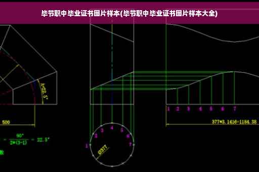 毕节职中毕业证书图片样本(毕节职中毕业证书图片样本大全)