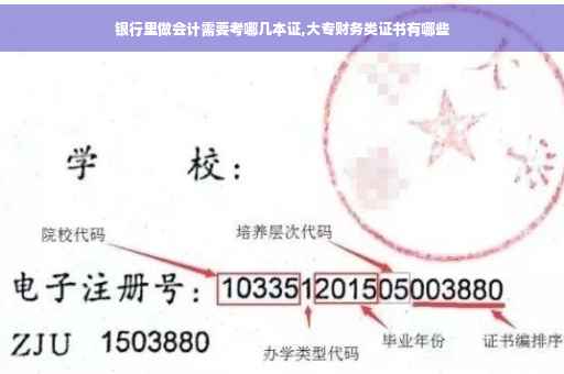 银行里做会计需要考哪几本证,大专财务类证书有哪些