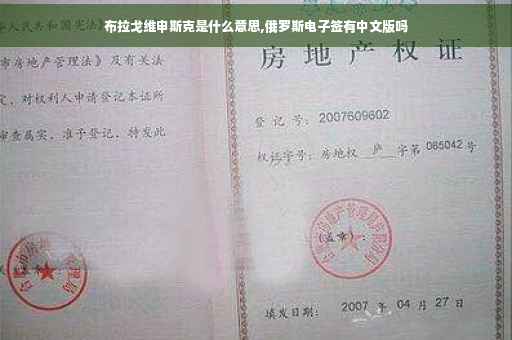 布拉戈维申斯克是什么意思,俄罗斯电子签有中文版吗