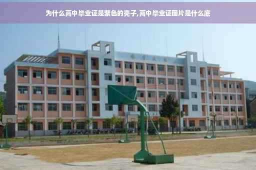 为什么高中毕业证是紫色的壳子,高中毕业证图片是什么底