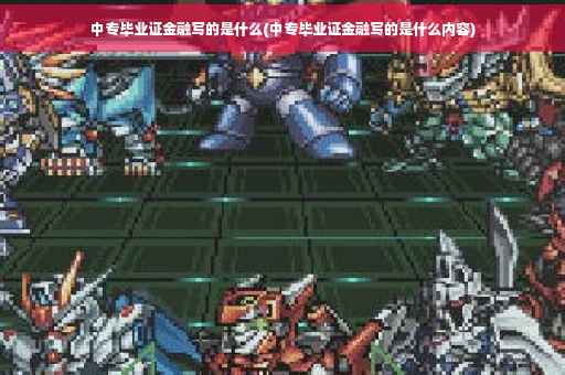 中专毕业证金融写的是什么(中专毕业证金融写的是什么内容)