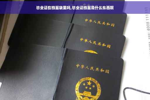 毕业证在档案袋里吗,毕业证档案是什么东西啊