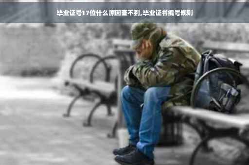 毕业证号17位什么原因查不到,毕业证书编号规则
