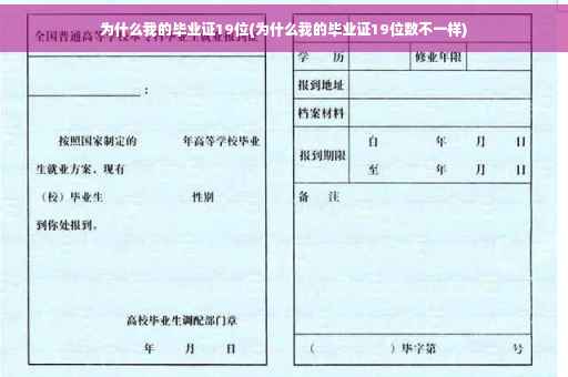 为什么我的毕业证19位(为什么我的毕业证19位数不一样)