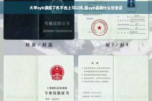 大学syb课报了名不去上可以吗,报syb需要什么毕业证