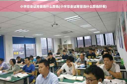 小字毕业证背景选什么颜色(小字毕业证背景选什么颜色好看)