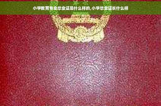 小学教育专业毕业证是什么样的,小学毕业证长什么样