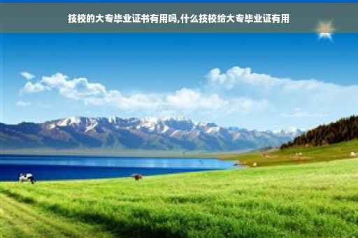 技校的大专毕业证书有用吗,什么技校给大专毕业证有用