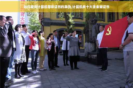 如何查询计算机等级证书的真伪,计算机类十大含金量证书