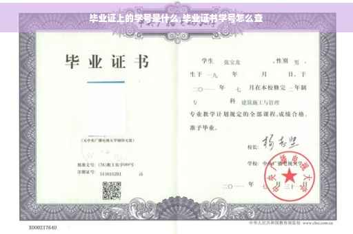 毕业证上的学号是什么,毕业证书学号怎么查