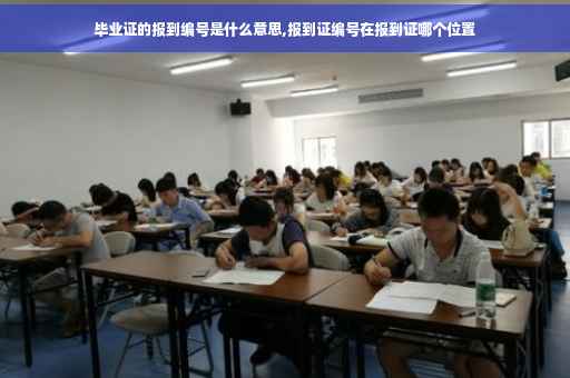 毕业证的报到编号是什么意思,报到证编号在报到证哪个位置