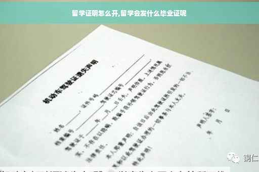 留学证明怎么开,留学会发什么毕业证呢