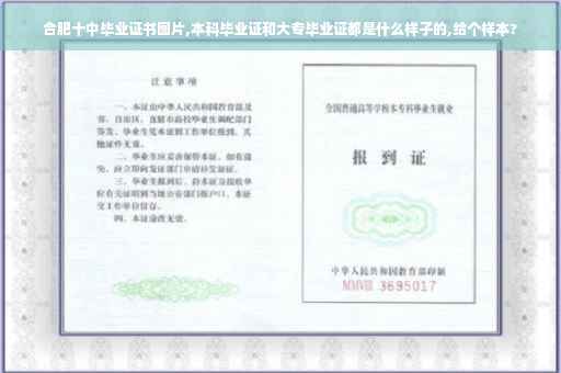 合肥十中毕业证书图片,本科毕业证和大专毕业证都是什么样子的,给个样本?