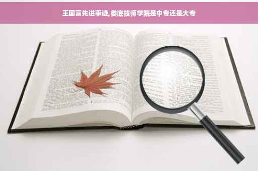 王国富先进事迹,娄底技师学院是中专还是大专