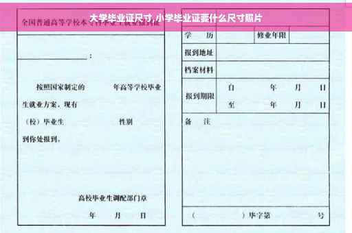 大学毕业证尺寸,小学毕业证要什么尺寸照片
