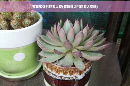 有教练证书能考大专(有教练证书能考大专吗)