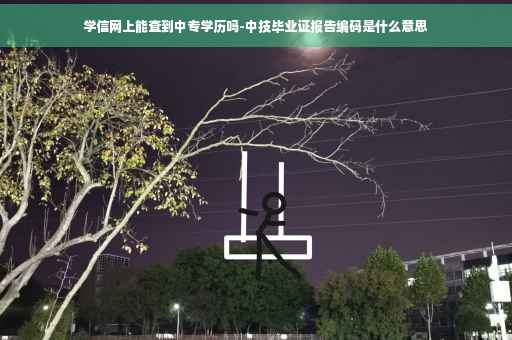 学信网上能查到中专学历吗-中技毕业证报告编码是什么意思