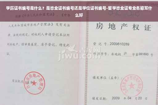 学历证书编号是什么？是毕业证书编号还是学位证书编号-留学毕业证专业名称写什么好