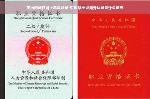 学历验证在网上怎么验证-中国毕业证海外认证是什么意思