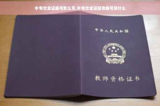 中专毕业证编号怎么写,中专毕业证报告编号是什么