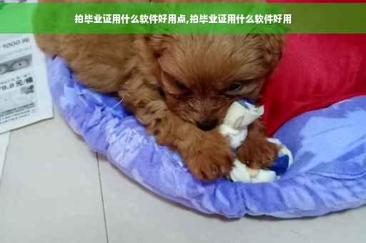 拍毕业证用什么软件好用点,拍毕业证用什么软件好用