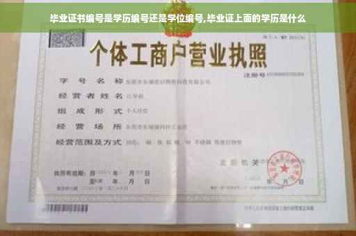 毕业证书编号是学历编号还是学位编号,毕业证上面的学历是什么