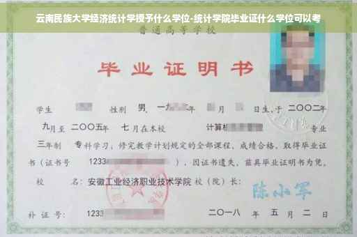 云南民族大学经济统计学授予什么学位-统计学院毕业证什么学位可以考