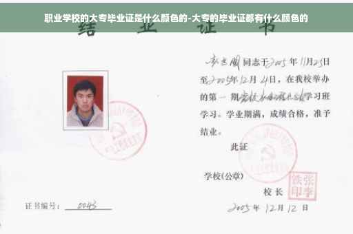 职业学校的大专毕业证是什么颜色的-大专的毕业证都有什么颜色的