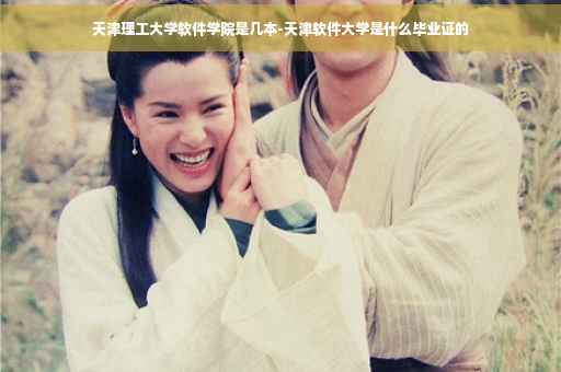 天津理工大学软件学院是几本-天津软件大学是什么毕业证的
