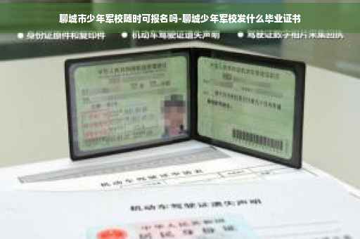 聊城市少年军校随时可报名吗-聊城少年军校发什么毕业证书