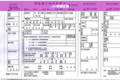 ,siri有哪些梗