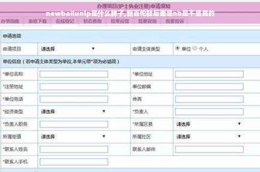 newbailunlp是什么牌子,新百伦鞋后面是nb是不是真的
