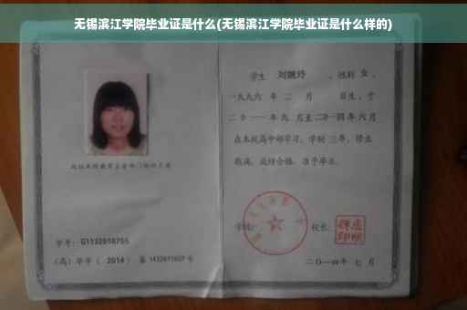 无锡滨江学院毕业证是什么(无锡滨江学院毕业证是什么样的)