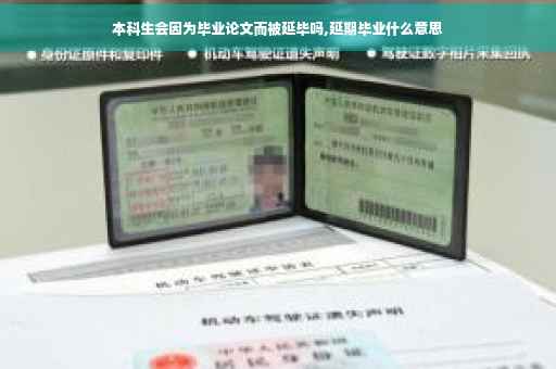 本科生会因为毕业论文而被延毕吗,延期毕业什么意思