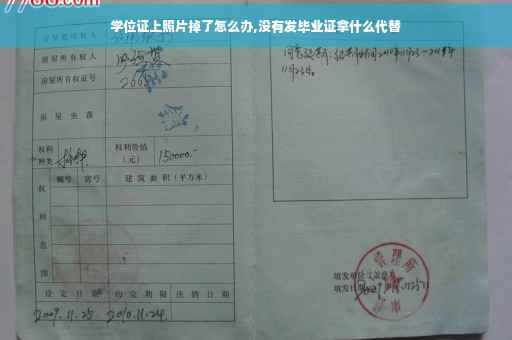 学位证上照片掉了怎么办,没有发毕业证拿什么代替