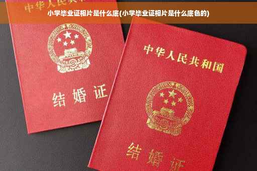 小学毕业证相片是什么底(小学毕业证相片是什么底色的)