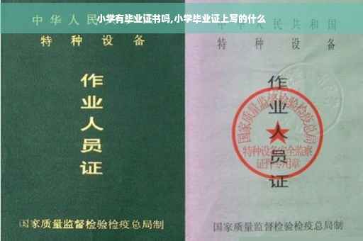 小学有毕业证书吗,小学毕业证上写的什么