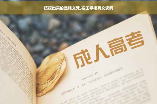 技校出来的是啥文凭,技工学校有文凭吗