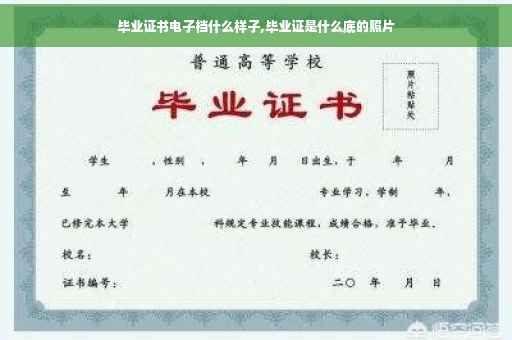 毕业证书电子档什么样子,毕业证是什么底的照片