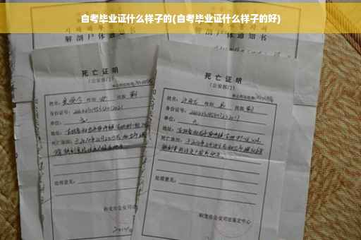 自考毕业证什么样子的(自考毕业证什么样子的好)