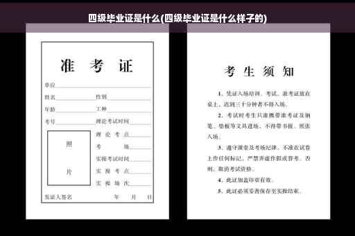 四级毕业证是什么(四级毕业证是什么样子的)