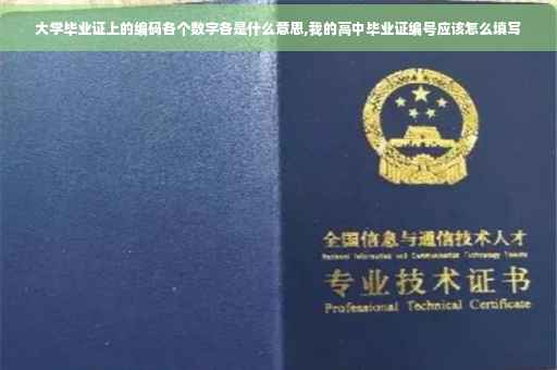 大学毕业证上的编码各个数字各是什么意思,我的高中毕业证编号应该怎么填写