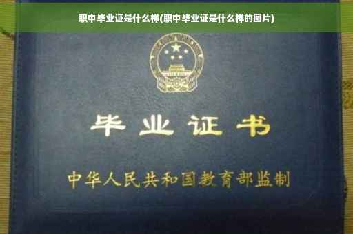 职中毕业证是什么样(职中毕业证是什么样的图片)