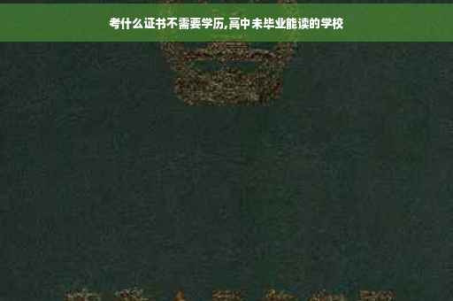 考什么证书不需要学历,高中未毕业能读的学校