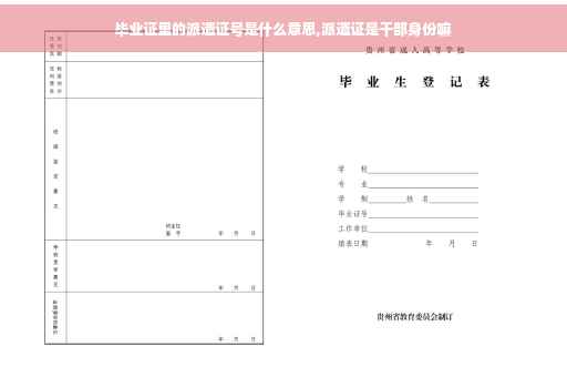 毕业证里的派遣证号是什么意思,派遣证是干部身份嘛