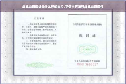 毕业证扫描证是什么样的图片,学信网有没有毕业证扫描件
