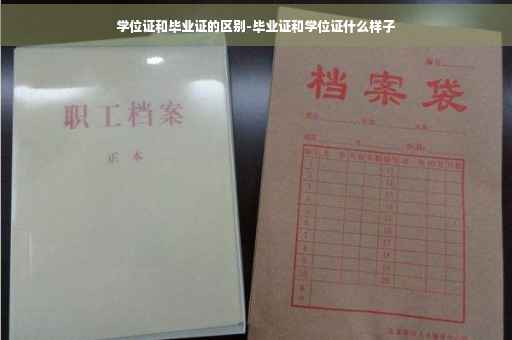 学位证和毕业证的区别-毕业证和学位证什么样子