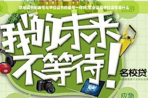 毕业证书的编号与学位证书的编号一样吗,毕业证号学位证号是什么
