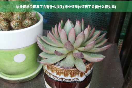 毕业证学位证丢了会有什么损失(毕业证学位证丢了会有什么损失吗)