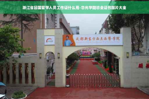 浙江省回国留学人员工作证什么用-华光学院毕业证书图片大全